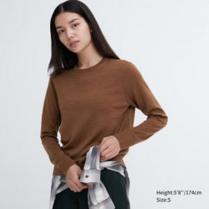 Brown Women Uniqlo Extra Fine Merino Crew Neck Sweaters | USA JENFV-6837