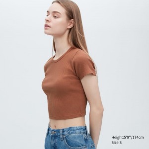 Brown Women Uniqlo Ribbed Crew Neck Short-sleeve Cropped T Shirts | USA URTPB-2314