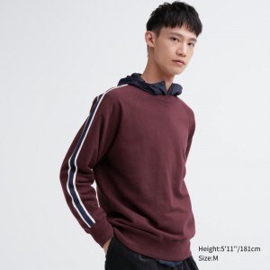 Burgundy Men Uniqlo Side-stripe Sweatshirt | USA BWJSI-6743