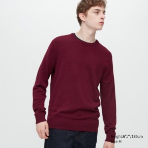 Burgundy Women Uniqlo Extra Fine Merino Crew Neck Sweaters | USA RUXYV-8279