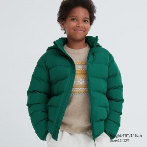 Green Kids Uniqlo Pufftech Washable (Warm Padded) Parka | USA PTBHY-8941