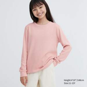 Pink Kids Uniqlo Heattech Cotton Waffle (Extra Warm) T Shirts | USA GABTR-5910