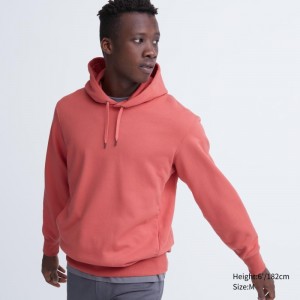 Pink Men Uniqlo Sweat Pullover Long-sleeve Hoodie | USA FEZWO-9763