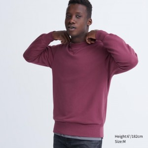 Purple Men Uniqlo Sweatshirt | USA ZVMOS-7084