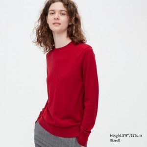 Red Women Uniqlo Extra Fine Merino Crew Neck Sweaters | USA HCUJB-7683