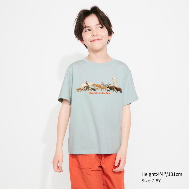 Light Green Kids Uniqlo National Museum Of Nature And Science, Tokyo Ut (Short-sleeve Graphic) T Shirts | USA ZCDER-8107