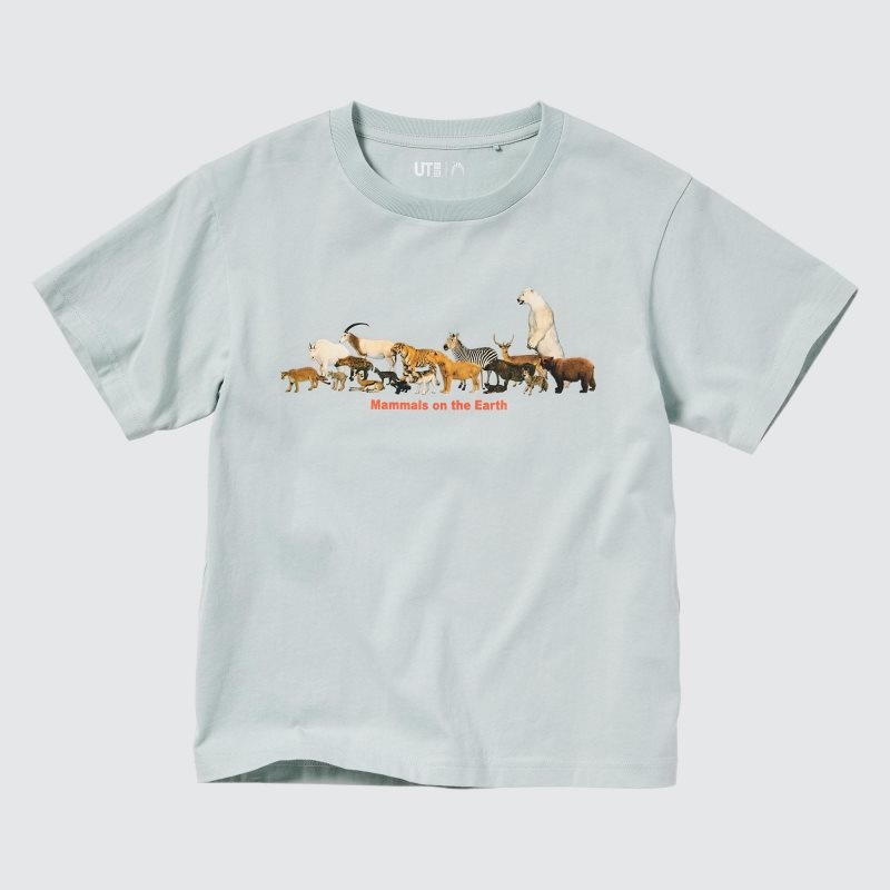 Light Green Kids Uniqlo National Museum Of Nature And Science, Tokyo Ut (Short-sleeve Graphic) T Shirts | USA ZCDER-8107