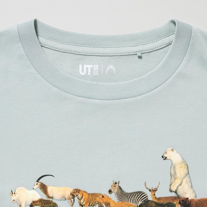 Light Green Kids Uniqlo National Museum Of Nature And Science, Tokyo Ut (Short-sleeve Graphic) T Shirts | USA ZCDER-8107