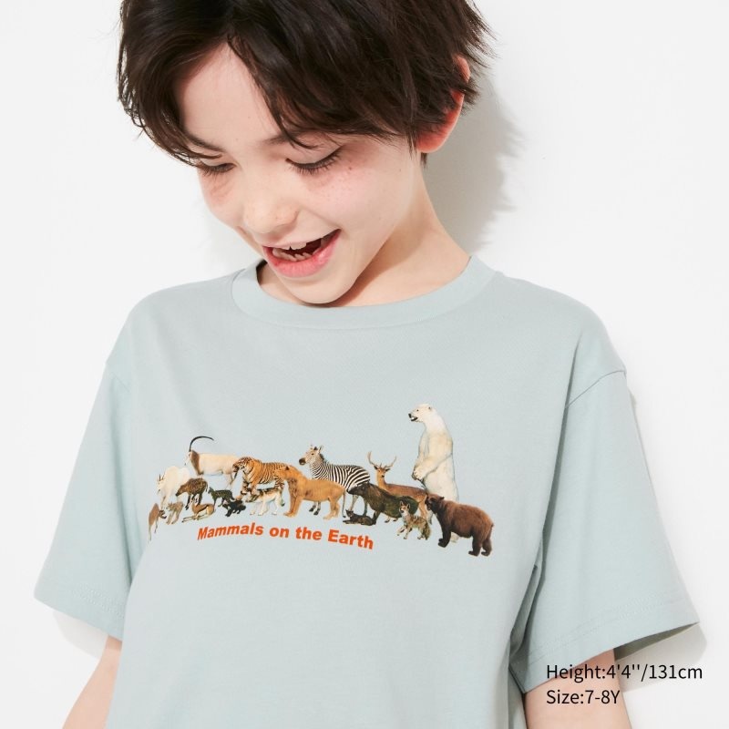 Light Green Kids Uniqlo National Museum Of Nature And Science, Tokyo Ut (Short-sleeve Graphic) T Shirts | USA ZCDER-8107