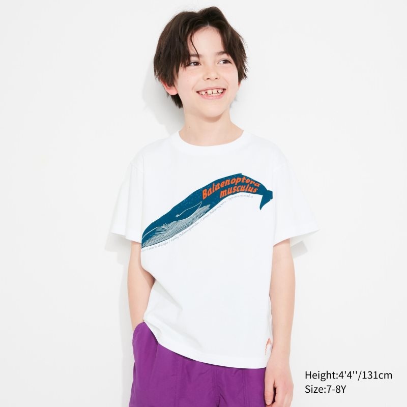 White Kids Uniqlo National Museum Of Nature And Science, Tokyo Ut (Short-sleeve Graphic) T Shirts | USA EUZKJ-0751